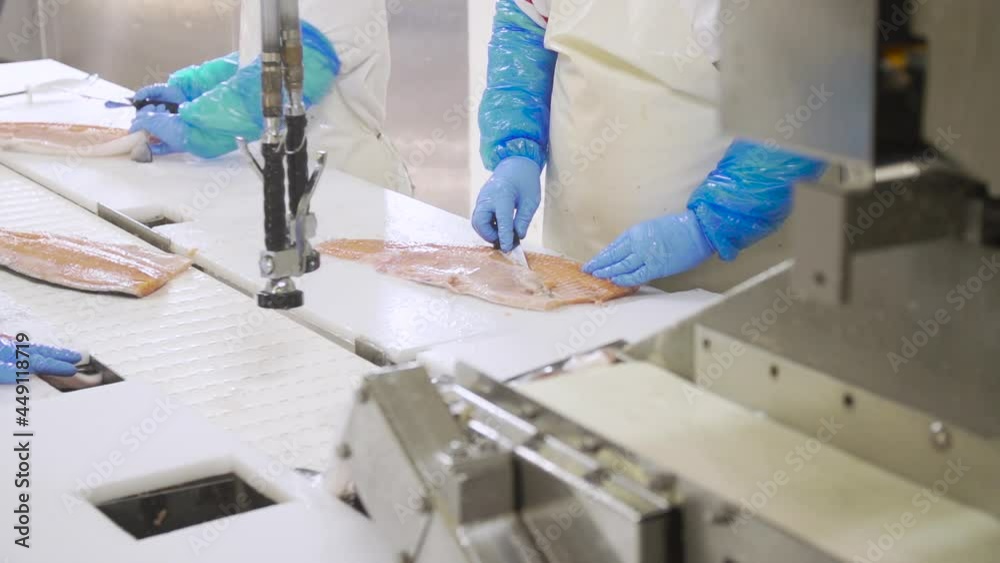 Cutting the peritoneum of a salmon fillet in a workshop, in slow motion. Cutting the peritoneum of a salmon fillet in a workshop, in slow motion.