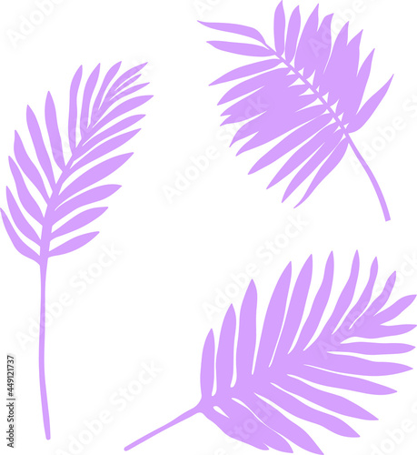 Leaves isolated on white. Tropical leaves. Hand drawn vector illustration 