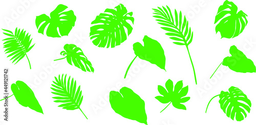 Leaves isolated on white. Tropical leaves. Hand drawn vector illustration © ARTSTOK