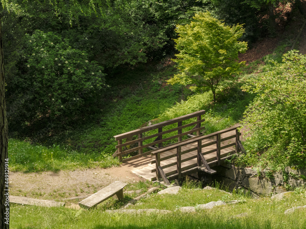 Wooden bridge crossing the river in the woods.Nature landscape with green trees in summer season. Wooden bridge crossing the river in the woods.Nature landscape with green trees in summer season.