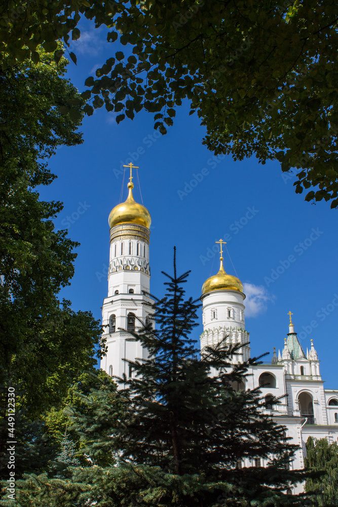 The high Kremlin white bell tower with a golden dome Ivan the Great in a natural frame made of tree branches with green leaves on a sunny summer day and blue sky in Moscow Russia
