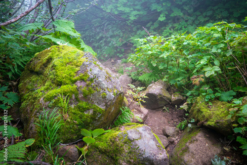 新潟県糸魚川市、妙高市にある火打山、妙高山の登山をしている風景 Scenery of climbing Mount Hiuchi and Mount Myoko in Itoigawa and Myoko City, Niigata Prefecture. photo