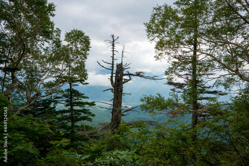 Fototapeta premium 新潟県糸魚川市、妙高市にある火打山、妙高山の登山をしている風景 Scenery of climbing Mount Hiuchi and Mount Myoko in Itoigawa and Myoko City, Niigata Prefecture.