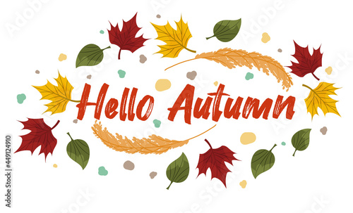 Vector composition with autumn leaves, text hello autumn. Colorful maple, ash leaves with rowan berries and wheat dots and a place for text