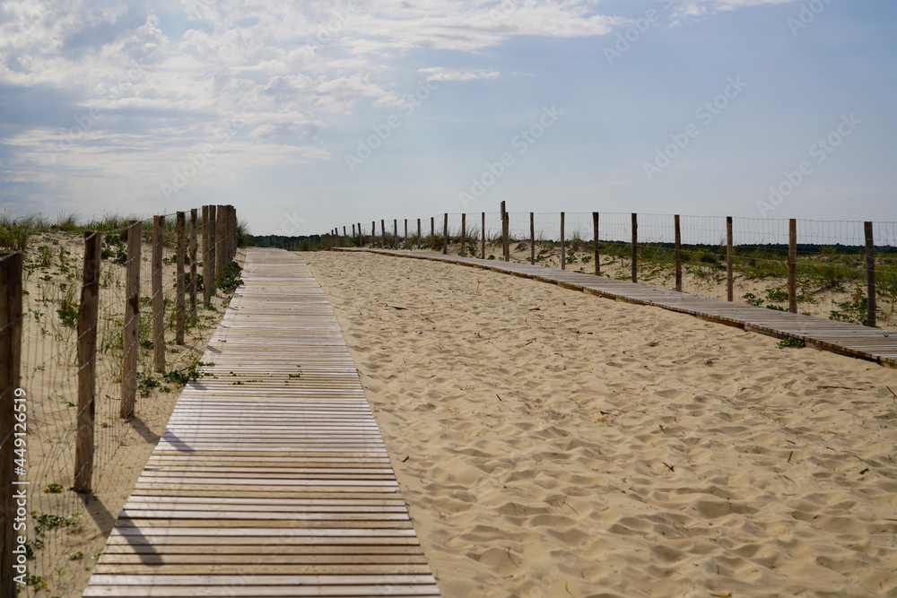 Beach access wooden pathway of atlantic sea in sand dunes with ocean in gironde France southwest