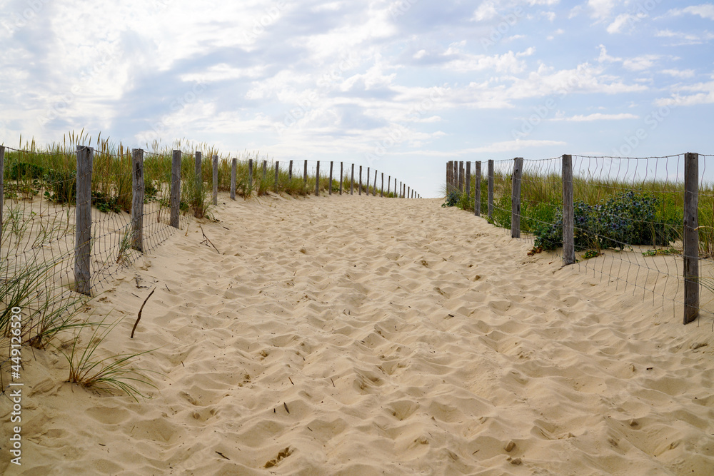 Coast access sandy pathway with fence to ocean beach atlantic coast at Cap Ferret in France