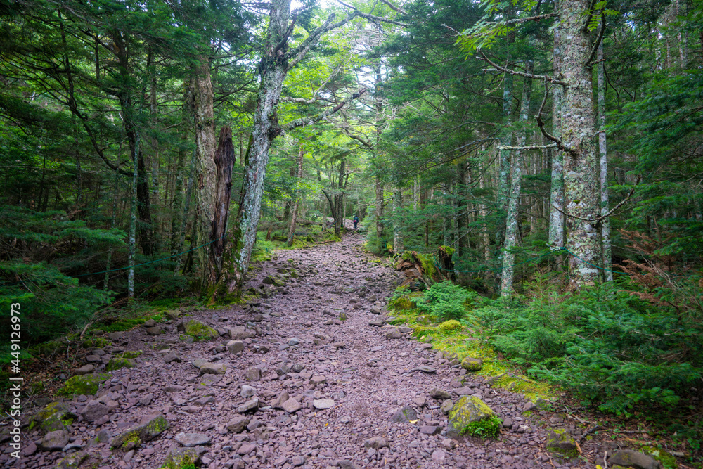 長野県茅野市と北佐久郡立科町にある八ヶ岳連峰の蓼科山の登山の風景 A view of climbing Mount Tateshina in the Yatsugatake mountain range in Chino City and Tateshina Town, Kitasaku County, Nagano Prefecture. 長野県茅野市と北佐久郡立科町にある八ヶ岳連峰の蓼科山の登山の風景 A view of climbing Mount Tateshina in the Yatsugatake mountain range in Chino City and Tateshina Town, Kitasaku County, Nagano Prefecture.