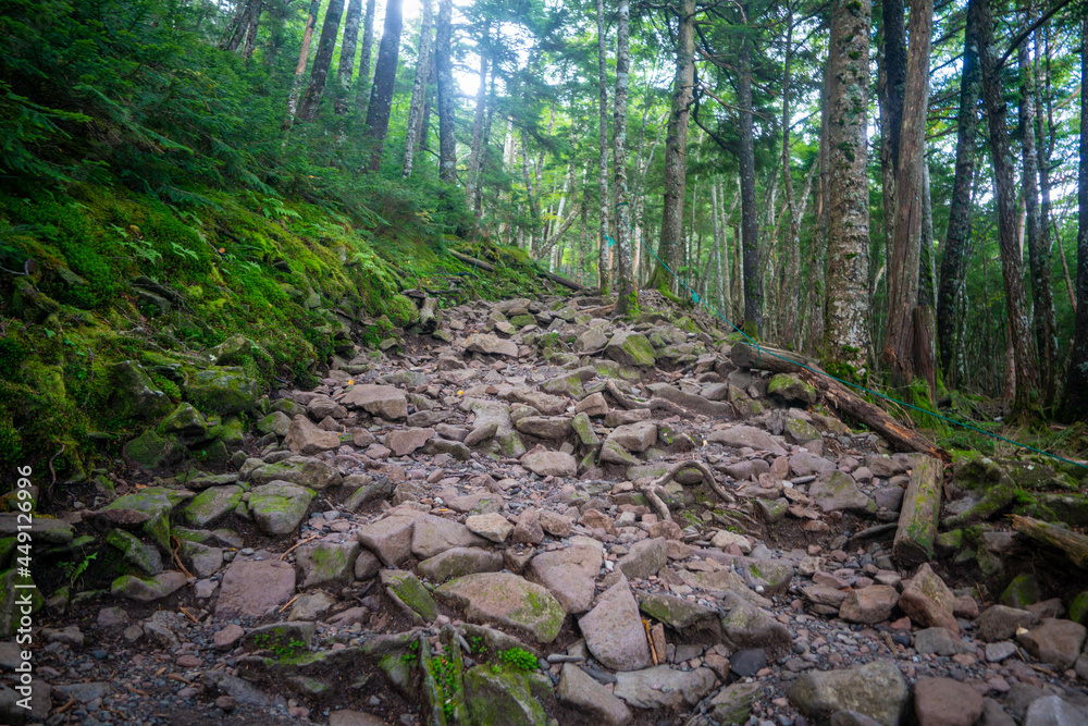 長野県茅野市と北佐久郡立科町にある八ヶ岳連峰の蓼科山の登山の風景 A view of climbing Mount Tateshina in the Yatsugatake mountain range in Chino City and Tateshina Town, Kitasaku County, Nagano Prefecture. 長野県茅野市と北佐久郡立科町にある八ヶ岳連峰の蓼科山の登山の風景 A view of climbing Mount Tateshina in the Yatsugatake mountain range in Chino City and Tateshina Town, Kitasaku County, Nagano Prefecture.
