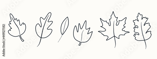 Set of autumn herbarium in doodle style. Black outline leaf foliage icons. Vector collection of botanical design elements. Leaves isolated on white. Illustration.
