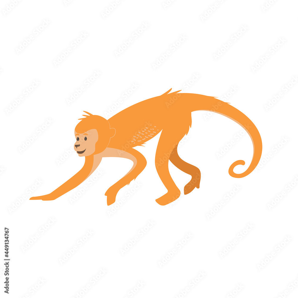 Cute cartoon monkey isolated on white transparent background. Vector