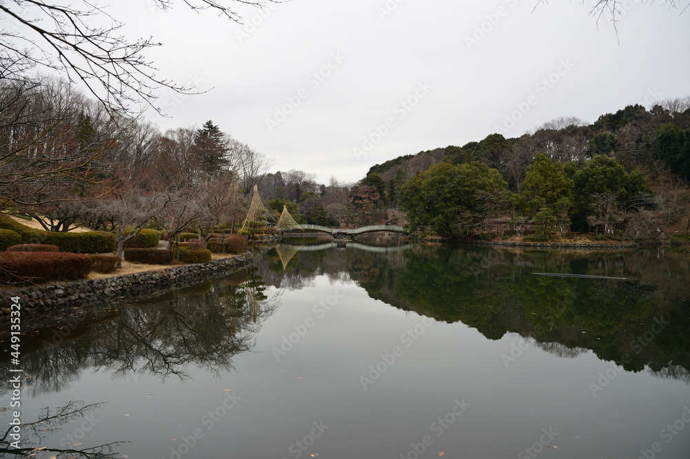 Obraz premium 薬師池公園、冬