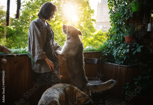 Young woman with her two dogs at home on a summer balcony looking at sunset