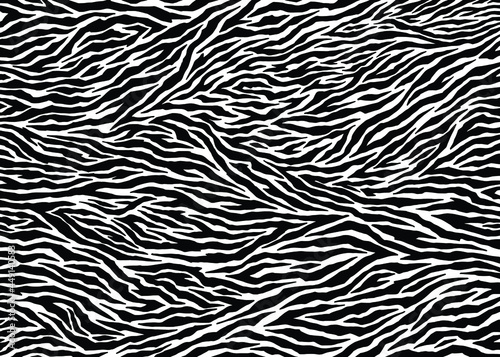 Zebra print vector pattern. Abstract animal print vector illustration background. Wildlife fur skin design illustration. For web  home decor  fashion  surface  graphic design