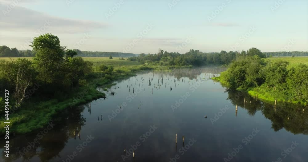 Swampy lake with died trees, dry forest. Mystic swamp place with fog from adove water at summer sunny sunrise Swampy lake with died trees, dry forest. Mystic swamp place with fog from adove water at summer sunny sunrise