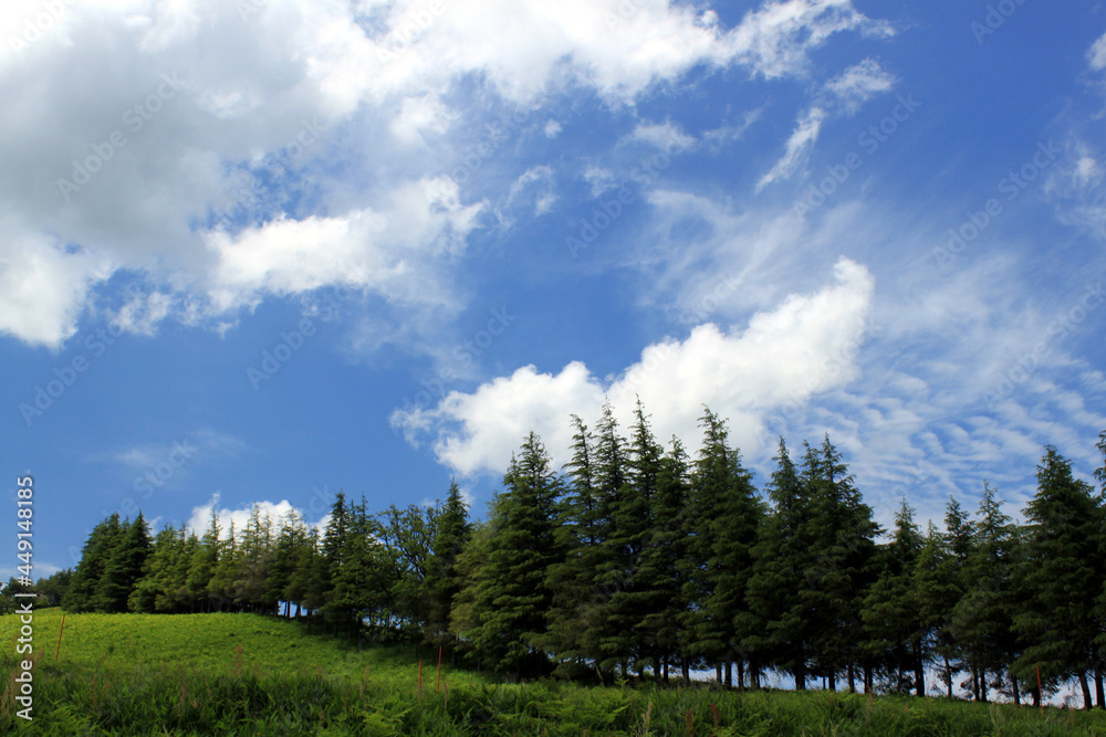 Fototapeta premium 高原の青空
