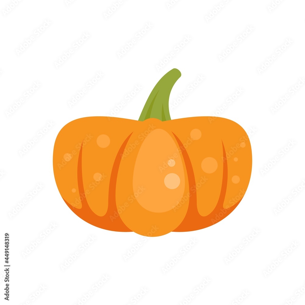 Obraz premium Traditional pumpkin icon flat isolated vector