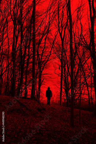 man silhouette in scary forest, halloween horror landscape