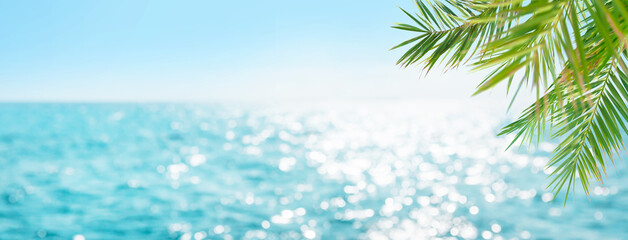 Summer tropical sea and palm leaves