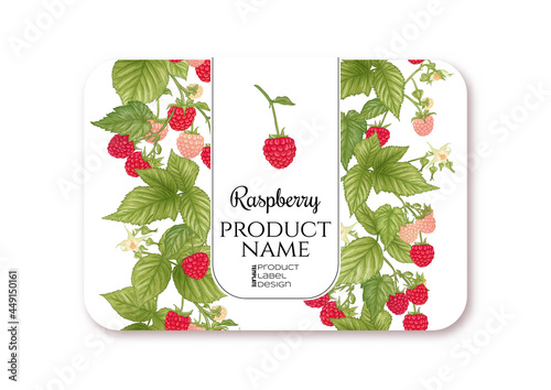 Raspberry. Ripe berries on branch. Template for product label, cosmetic packaging. Easy to edit. Graphic drawing, engraving style. Vector illustration..