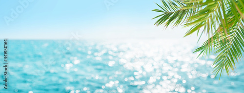 Summer tropical sea and palm leaves