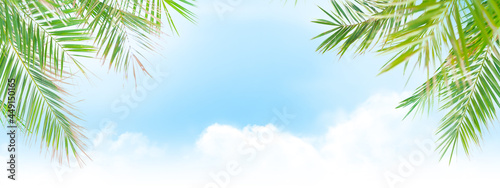 Sunny sky with clouds and palm leaves