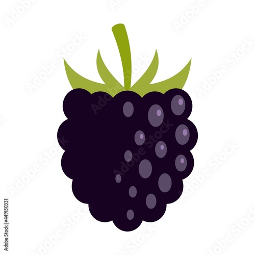 Rowan blackberry icon flat isolated vector