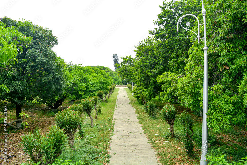 Beautiful park scene in public park with green grass field