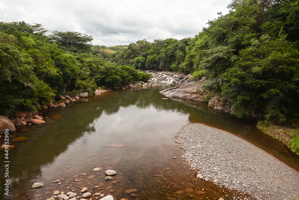 impressive river landscape with stones and jungle on the sides