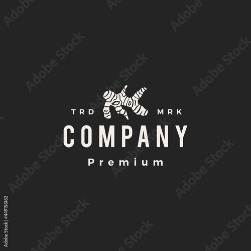 ginger root hipster vintage logo vector icon illustration