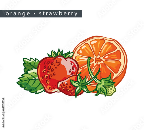 Fototapeta Naklejka Na Ścianę i Meble -  sketch_orange_strawberry_half_and_three_berries