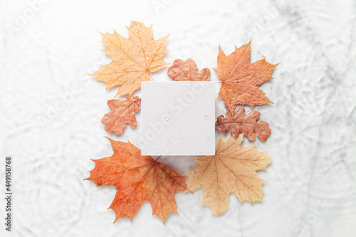 Cosmetic background with autumn leaves. Square podium and Blurred transparent clear water surface with marble texture with splashes and bubbles and circles from the rain.