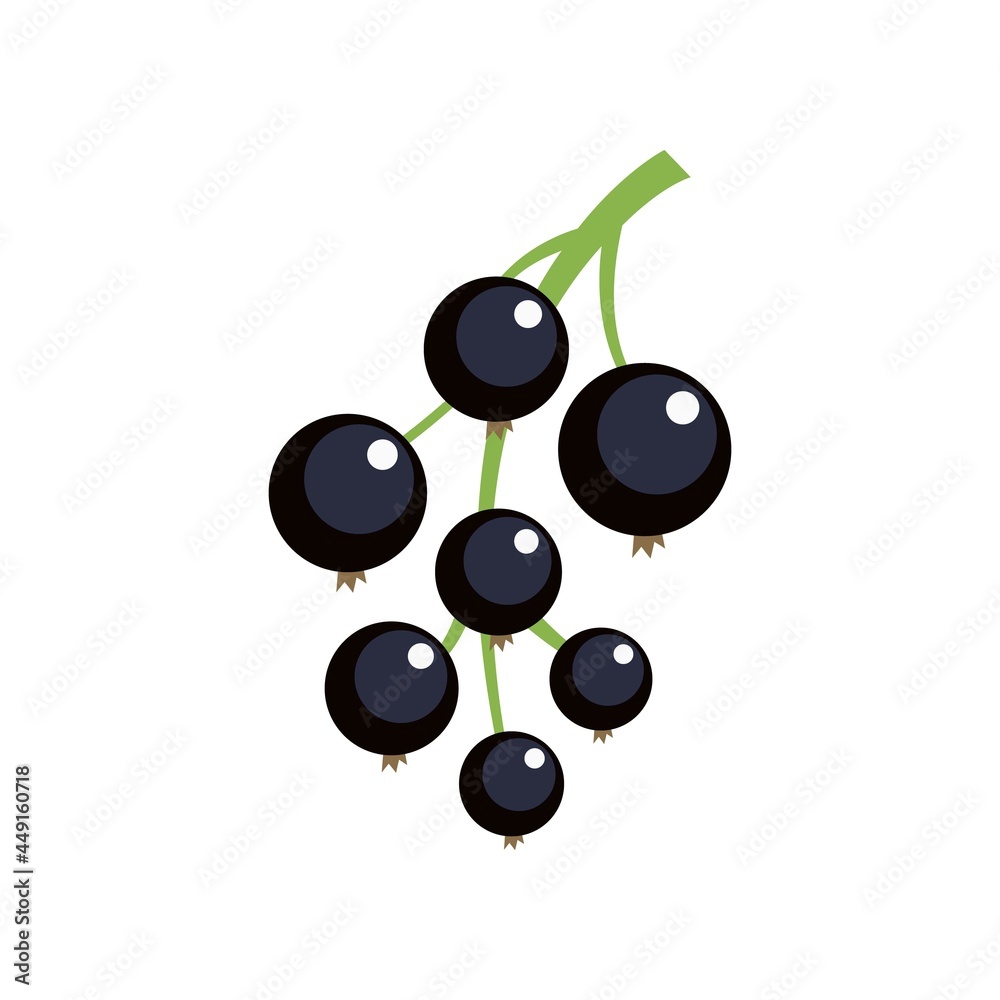 Blackcurrant icon flat isolated vector Blackcurrant icon flat isolated vector