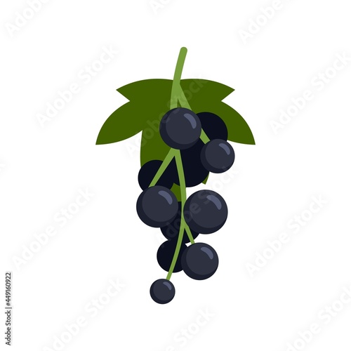 Black currant berries icon flat isolated vector
