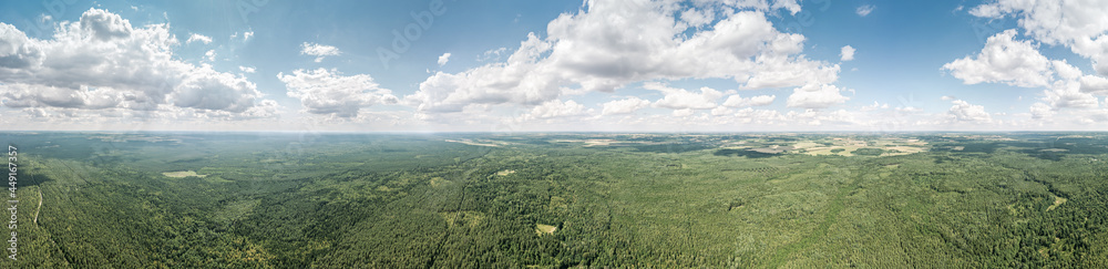 panoramic aerial view. big green forest under blue sky. summer landscape.