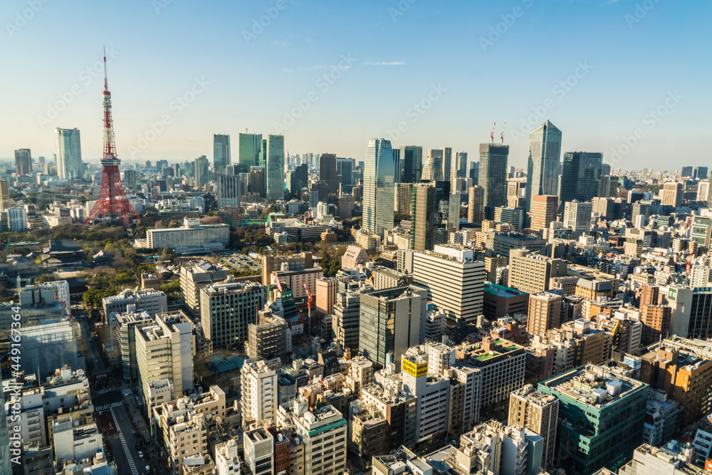 Tokyo city skyline including Tokyo Tower, Japan. Japanese metropolis.
