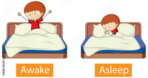 Opposite words with awake and asleep