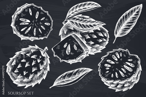Vector set of hand drawn chalk soursop