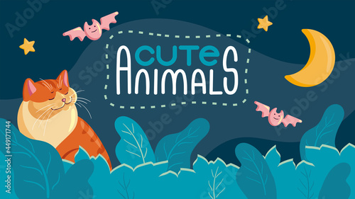 Banner cute animals, a cat at night looks at the moon, the night sky with bats and stars.