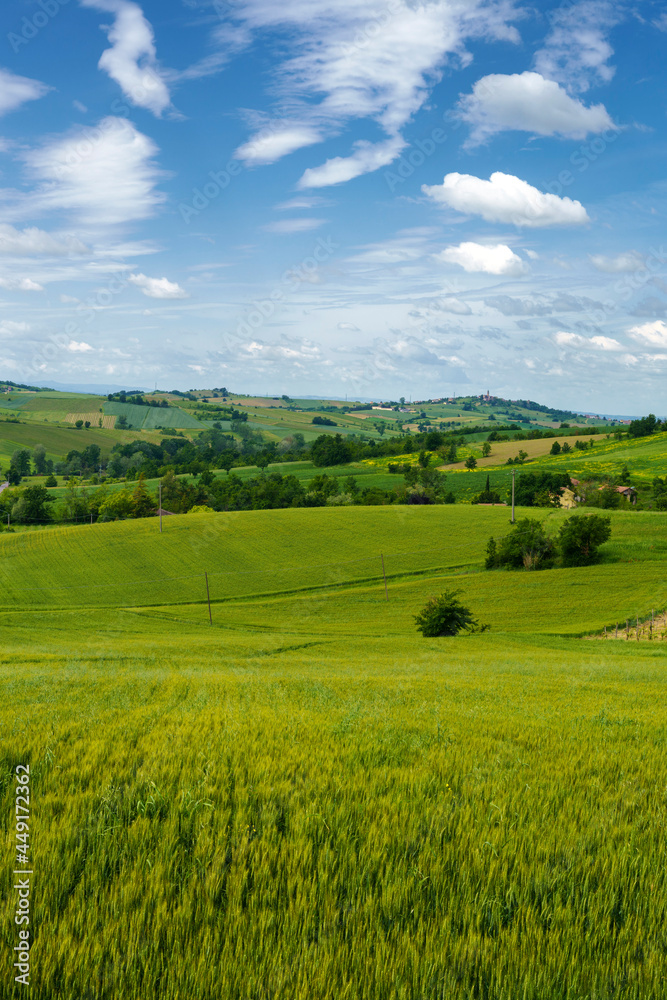 Landscape on the Tortona hills at springtime near Sarezzano