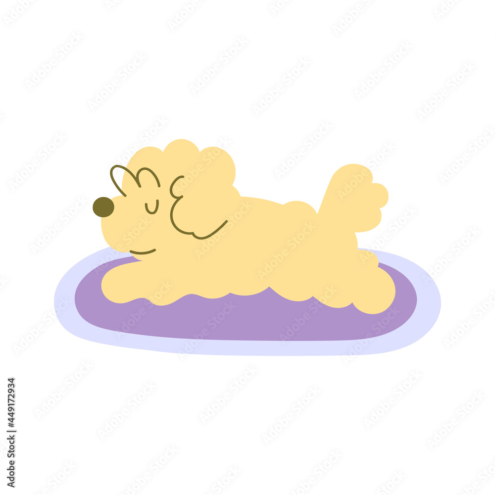 Bichon Frise lying on rug. Vector illustration on white background. Bichon Frise lying on rug. Vector illustration on white background.