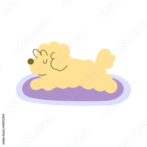 Bichon Frise lying on rug. Vector illustration on white background.