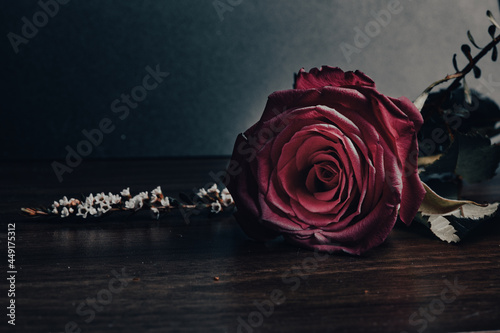 red rose on old paper