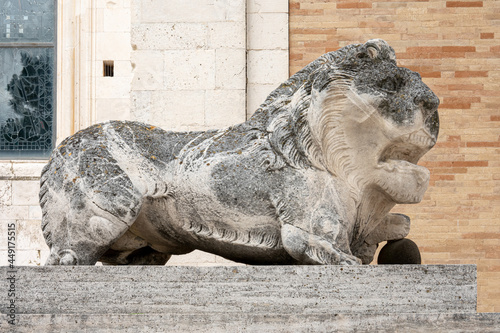 Cathedral of S.Maria Assunta, Fermo, Marche, Italy. The roaring lion