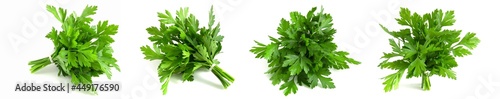 set of photo buds of fresh green parsley isolated on white background.