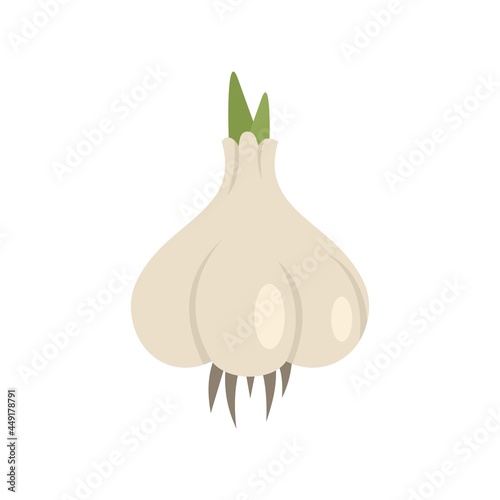 Eco garlic icon flat isolated vector