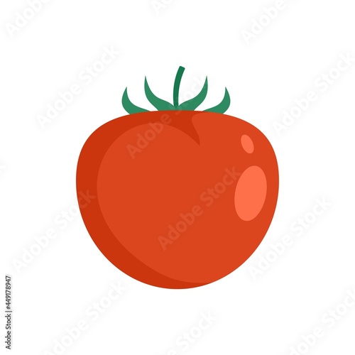 Organic red tomato icon flat isolated vector