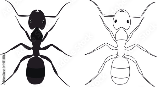 Ant or Formicidae Vector Illustration Fill and Outline Isolated on White Background. Insects Bugs Worms Pest and Flies. Pest Control Business graphic elements.