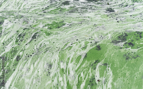 Algae bloom in a river water. Abstract pattern of a stagnant pond water full of toxic bacteria becouse of waste. Environment protection background photo