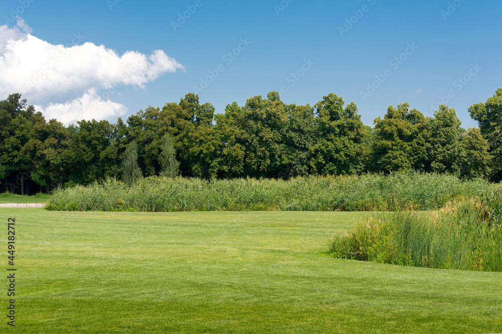 Green field with a bright blue sky above. Scenic landscapes of the park in the summertime