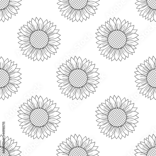 Fototapeta Naklejka Na Ścianę i Meble -  Seamless pattern sunflower graphics black and white colors vector illustration